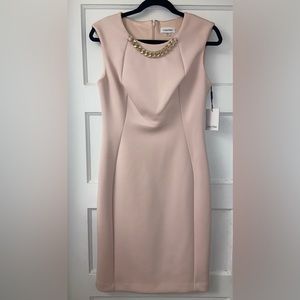 NWT Stunning Dusty Rose Pink Calvin Klein dress sz 8